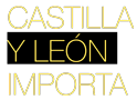 Castilla y León Importa Logo