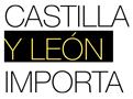 Castilla y León Importa Logo